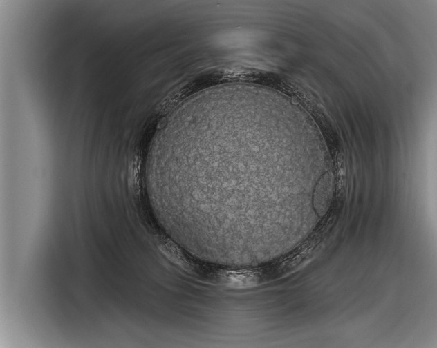 X0000116850275200912291246