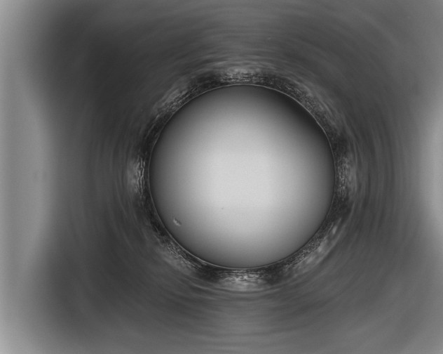 X0000116850278200912291246
