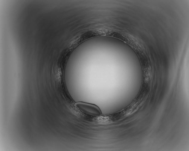 X0000116850279200912291246