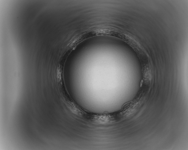 X0000116850282200912291246