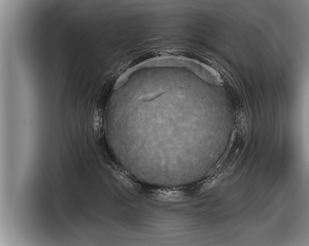 X0000116850284200912291246
