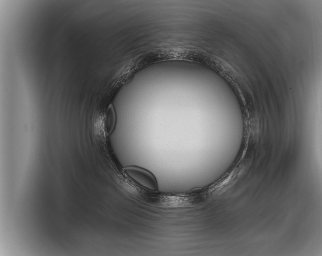 X0000116850286200912291246