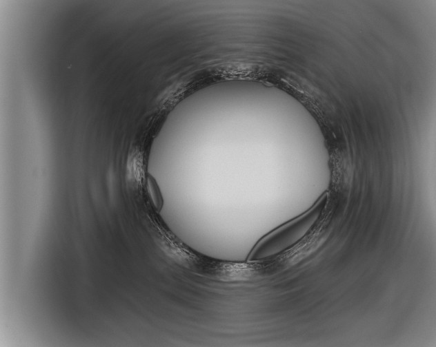 X0000116850287200912291246