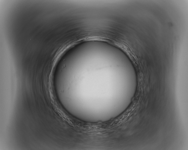 X0000116850289200912291245