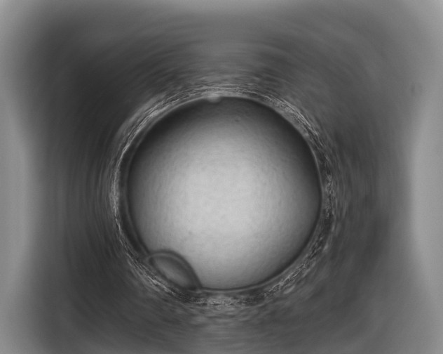 X0000116850290200912291245