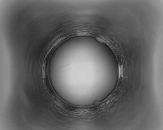 X0000116850291200912291245