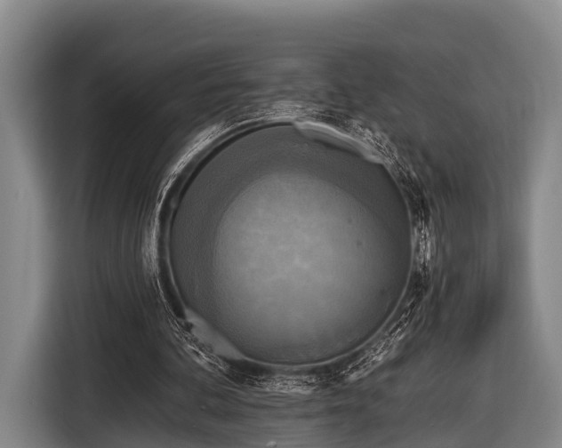 X0000116850292200912291245