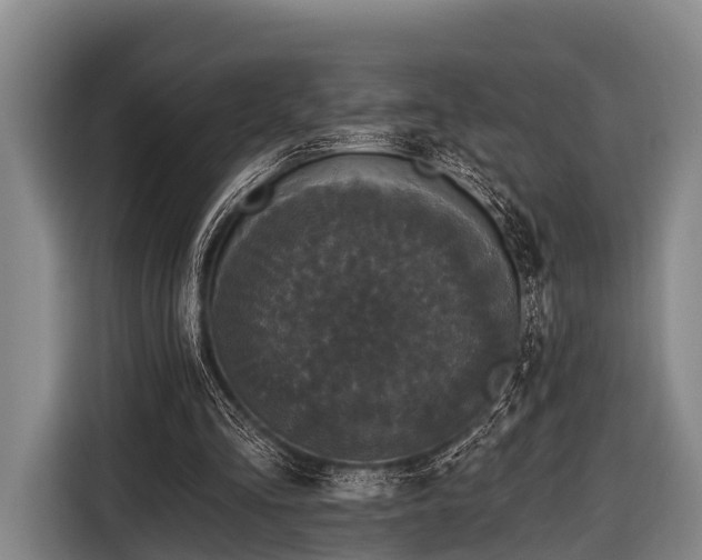 X0000116850293200912291245