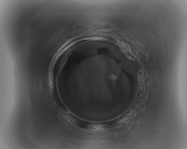 X0000116850295200912291245