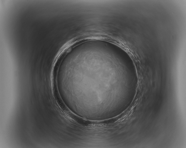 X0000116850296200912291245