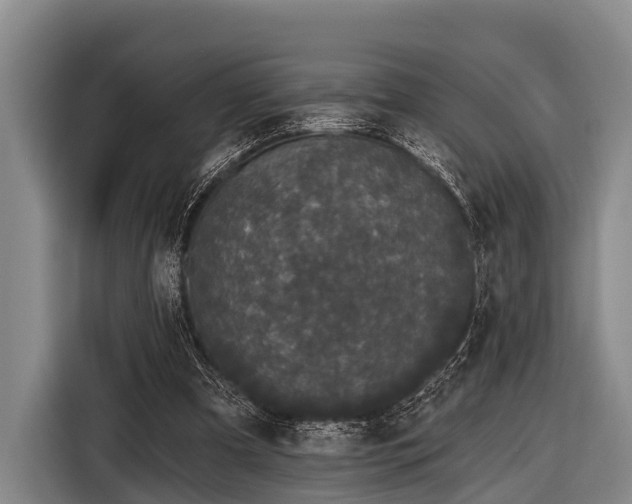 X0000116850297200912291245