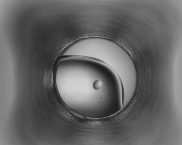 X0000116850301200912291245