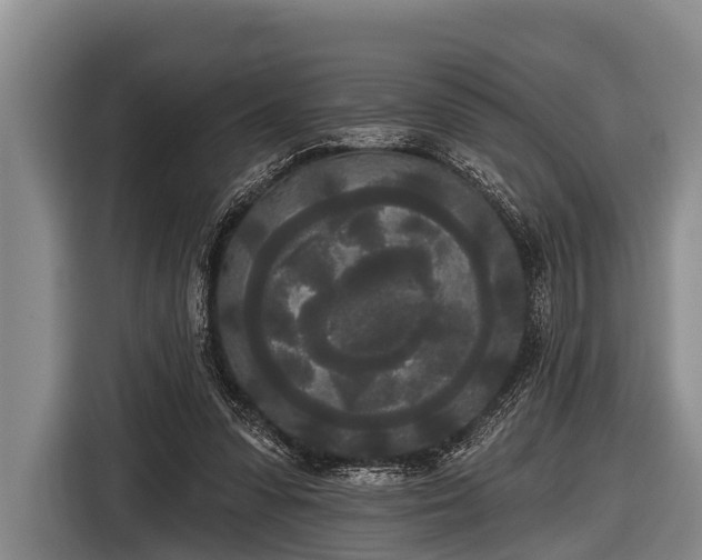 X0000116850303200912291245