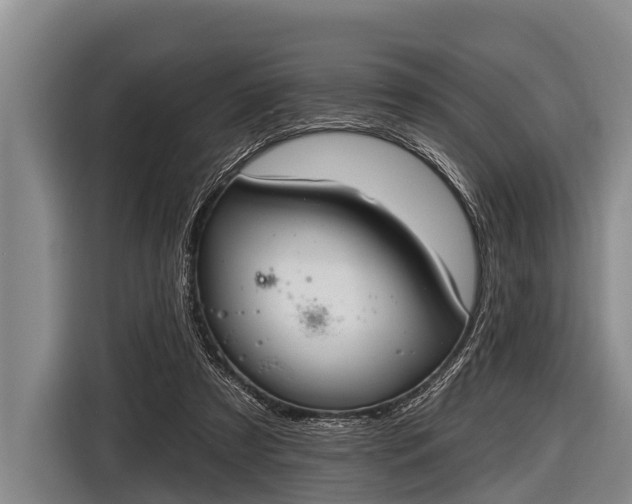 X0000116850305200912291245