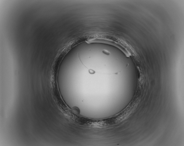 X0000116850306200912291245