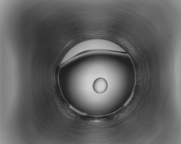 X0000116850312200912291245