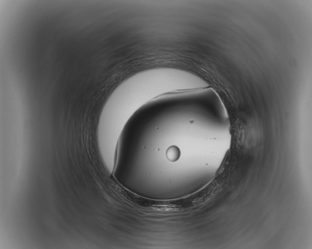 X0000116850316200912291245