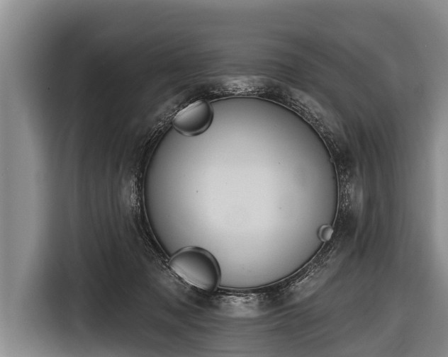 X0000116850317200912291245