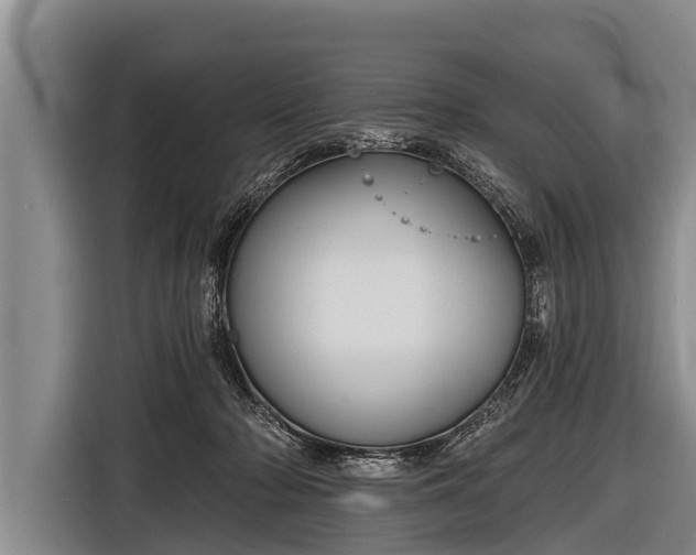 X0000116850318200912291245