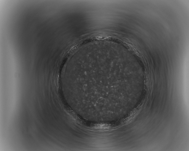 X0000116850319200912291245