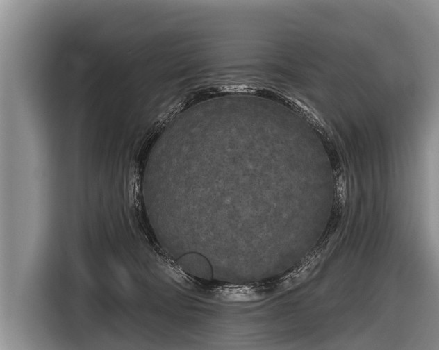 X0000116850322200912291245