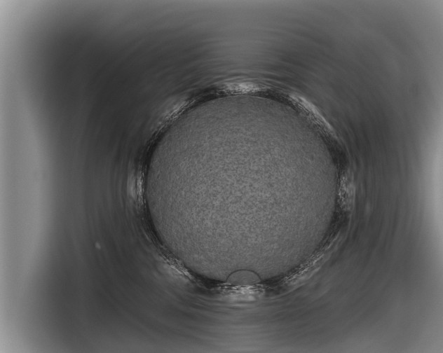 X0000116850330200912291245