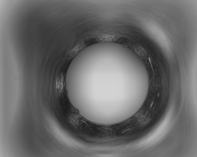 X0000116850334200912291245