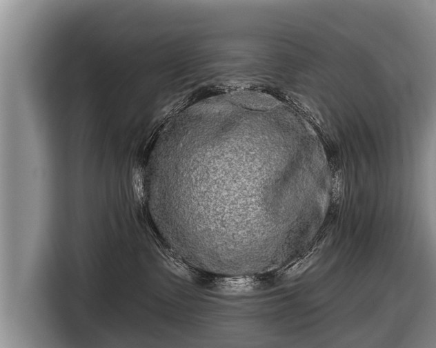 X0000116850335200912291245