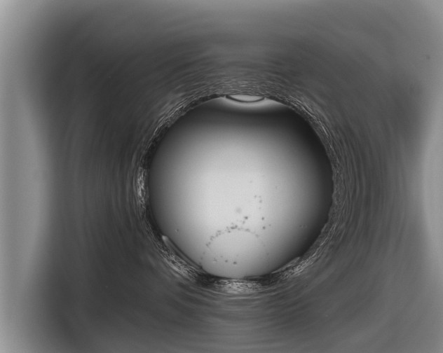 X0000116850336200912291245
