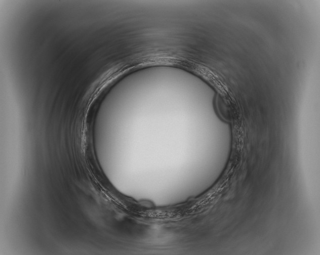 X0000116850338200912291244