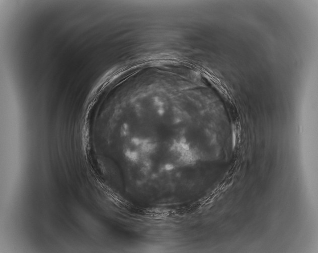 X0000116850339200912291244