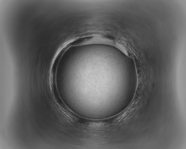 X0000116850342200912291244