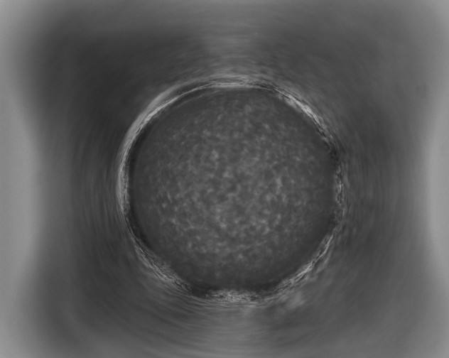 X0000116850343200912291244