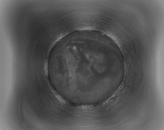X0000116850345200912291244