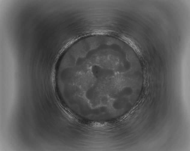 X0000116850346200912291244