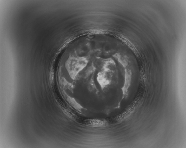 X0000116850347200912291244