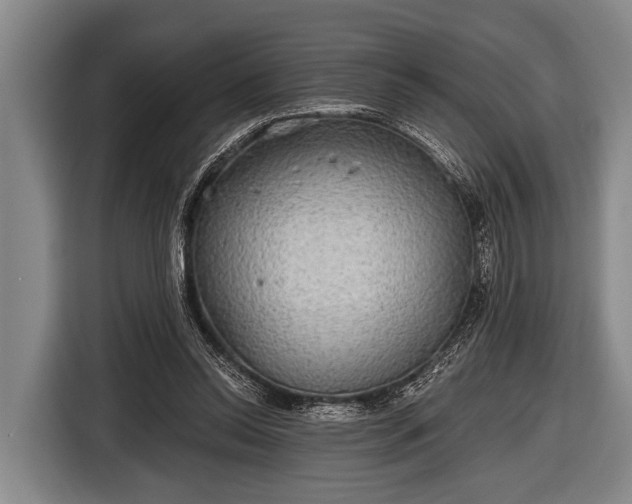 X0000116850350200912291244