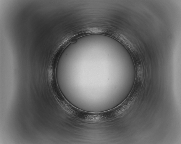 X0000116850351200912291244