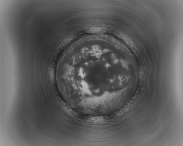 X0000116850353200912291244