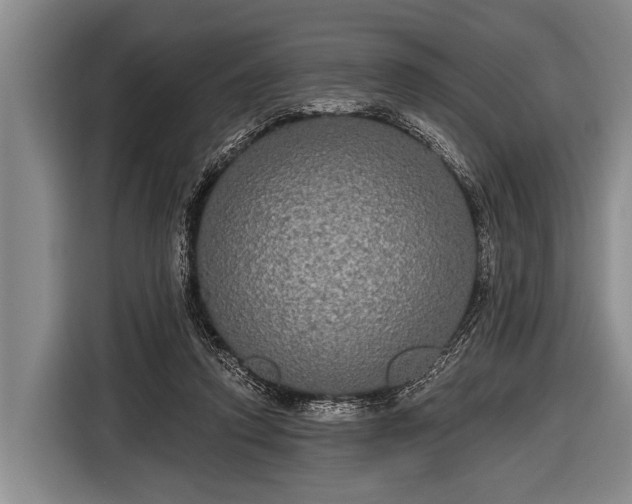 X0000116850354200912291244