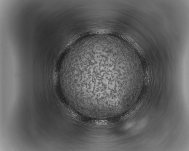 X0000116850355200912291244
