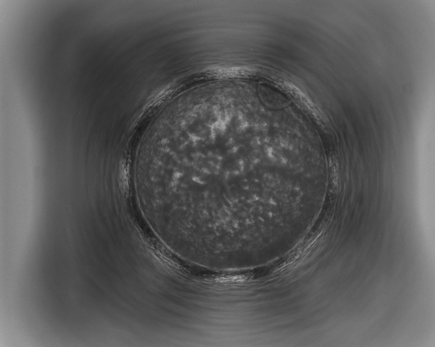 X0000116850357200912291244