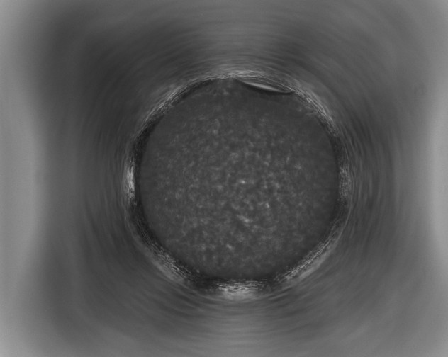 X0000116850358200912291244