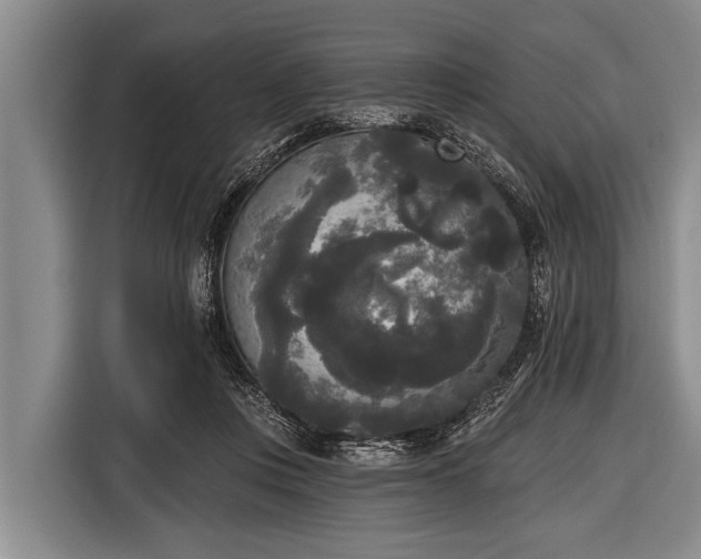X0000116850359200912291244