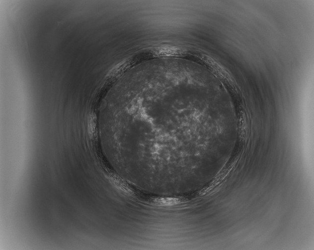 X0000116850361200912291244