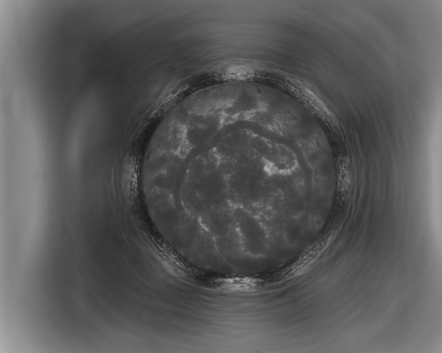 X0000116850363200912291245
