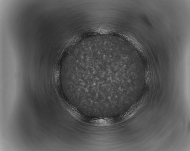 X0000116850365200912291245