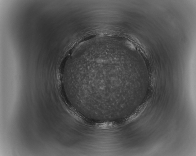 X0000116850366200912291245