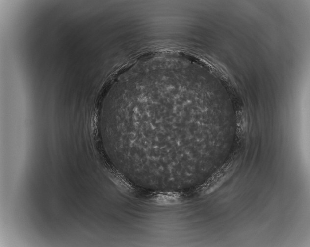 X0000116850369200912291245
