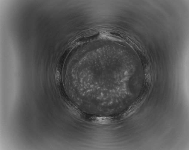 X0000116850371200912291245